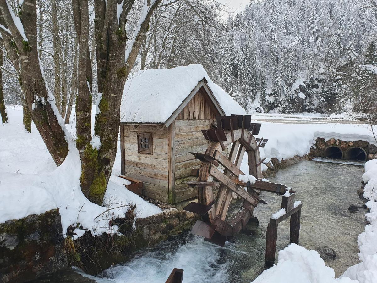 Apartma Lenka Kranjska Gora Esterno foto